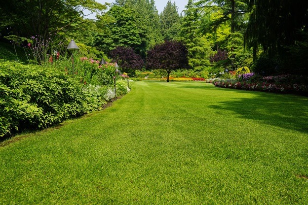Planning your Landscape