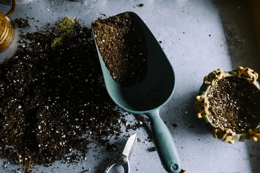 Choose the Proper Potting Mix