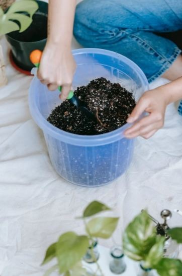 person preparing a container for plants