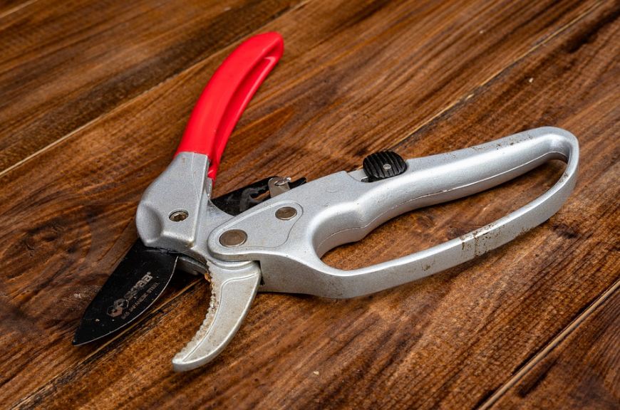 a pruner on a table