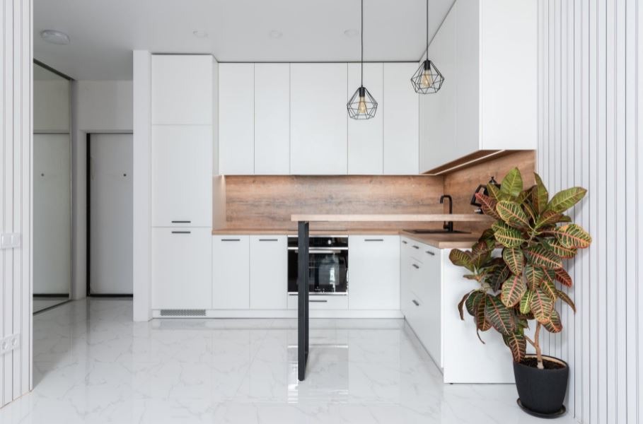 a big plant in the kitchen