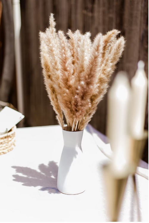 Pampas grass on a white vase