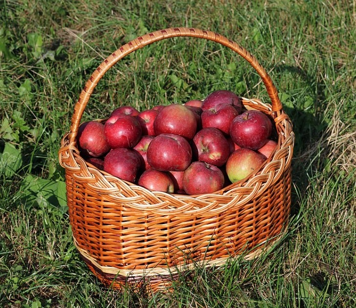 red apples in a wicker basket