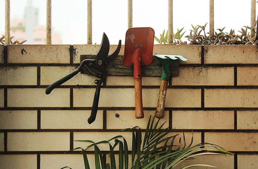 Plant, Santos, Brazil