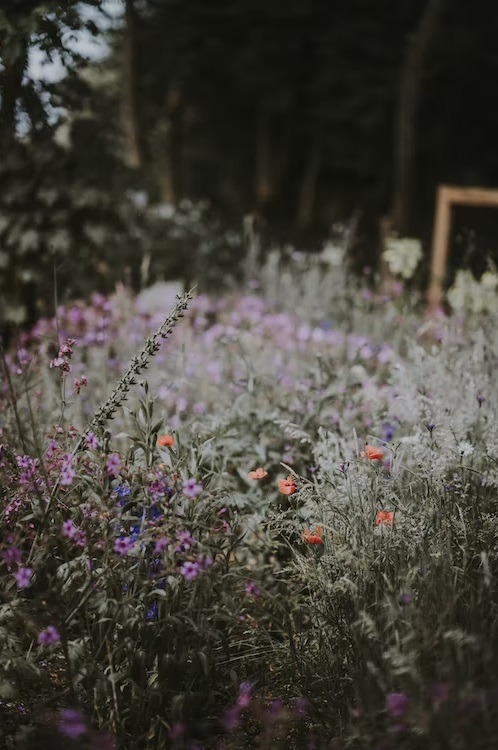 Garden, HD Grey Wallpapers, HD Green Wallpapers