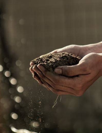 Hands, Garden, People Images & Pictures