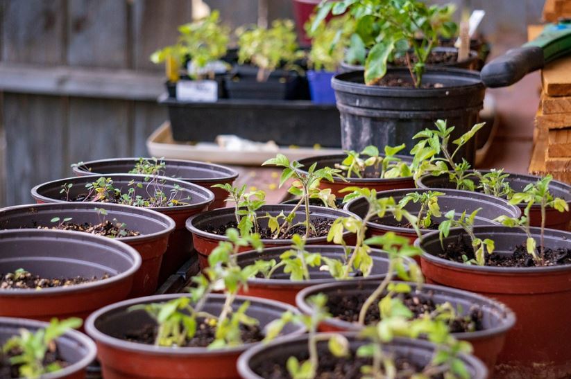 Why Proper Drainage is Important