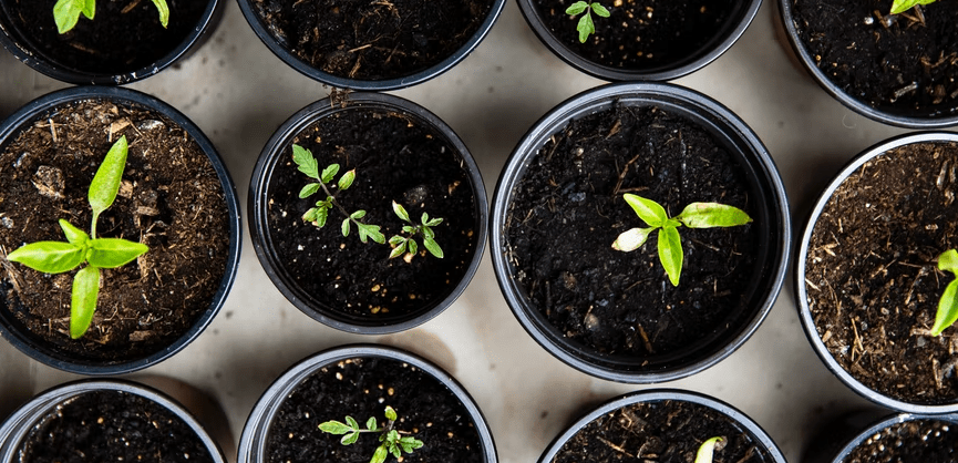 Promotes socialization and fosters collaboration