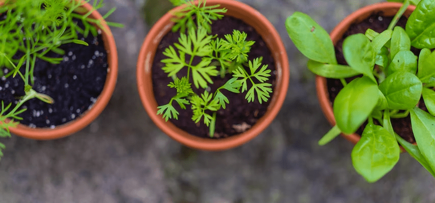 Provides satisfaction and fulfillment