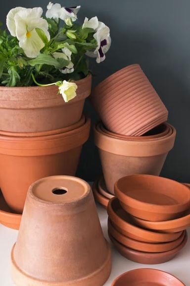 Choose the Best Containers