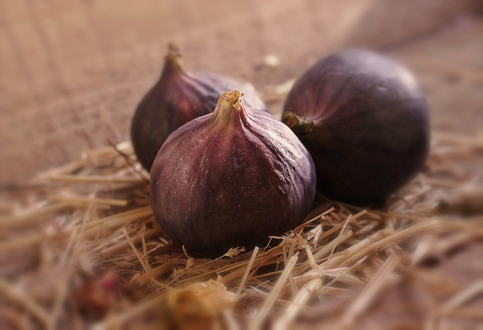 Figs