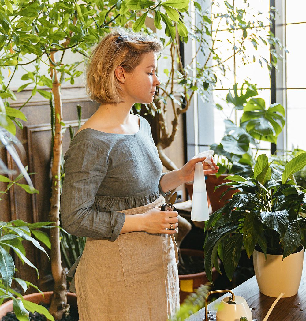 Challenges of Container Gardening