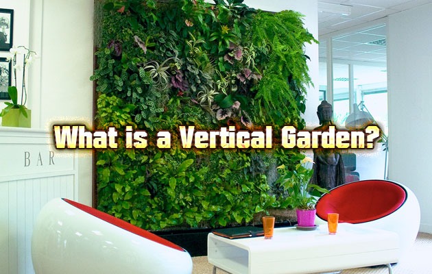 A Vertical Garden
