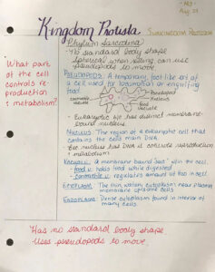 biology information