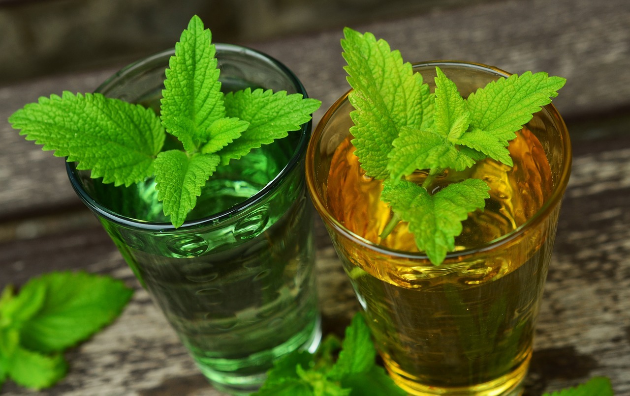 Lemon Balm, Health Benefits and Side Effects, Food and Nutrition, Growing