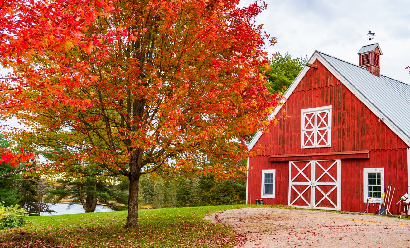 red barn on a Maine Farm