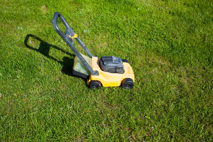 Best Non Self Propelled Push Lawn