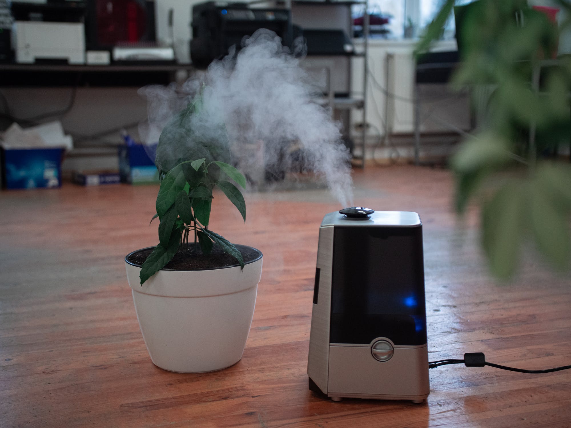 Is An Air Purifier Really Worth The Money