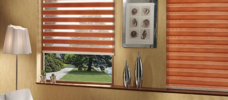 How to choose zebra blinds for your home