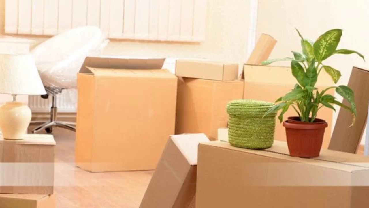 4 Types of Moving Services Including Home Removalists