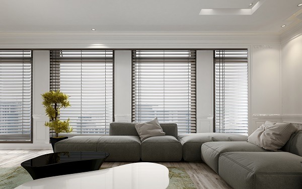 Living room interior with blinds and houseplant