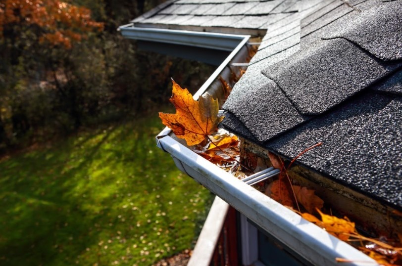 4 Ways To Protect Your Home’s Roof