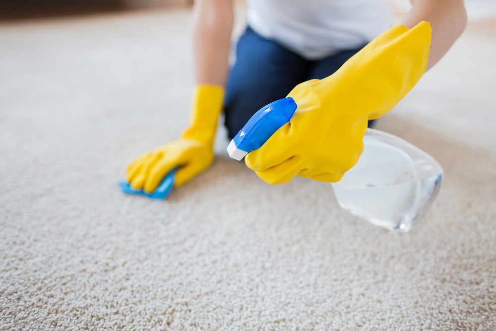 Carpet Cleaning Tips You Didn't Know You Needed