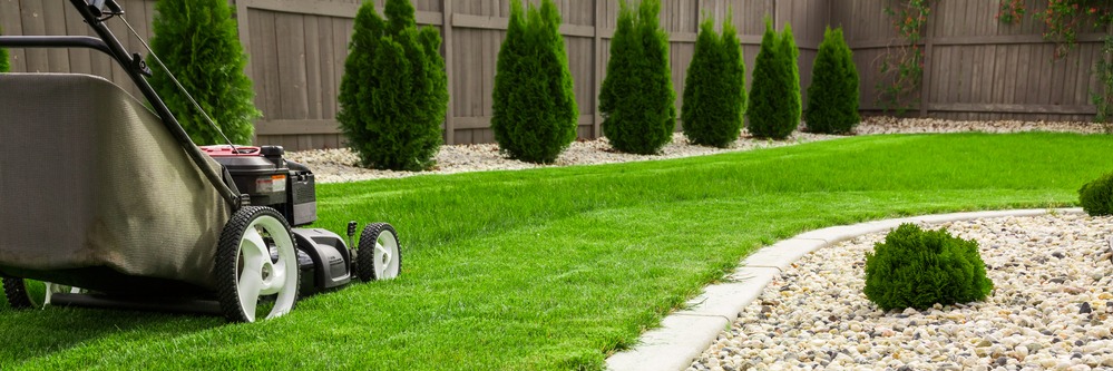 How to Grow a Healthy Lawn