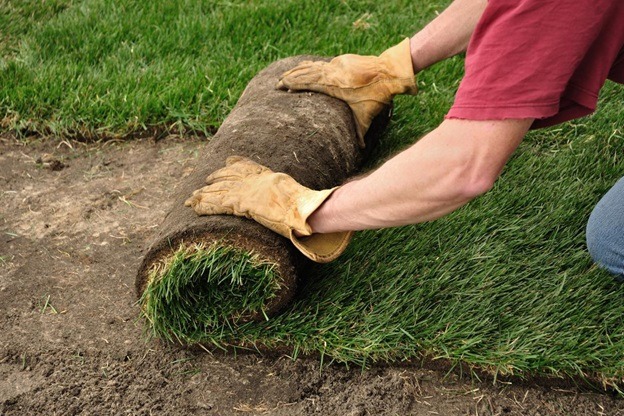 How to Install Sod and Lawn in Surrey