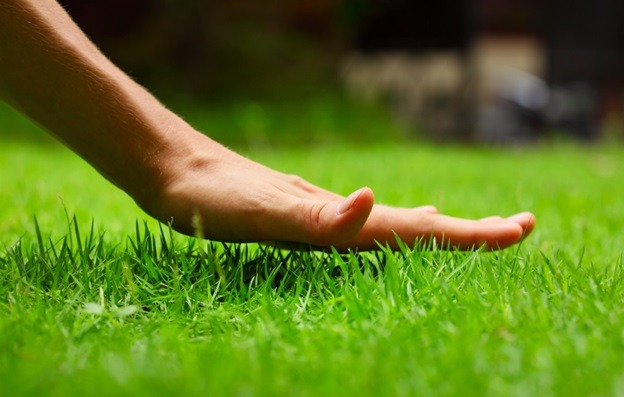 Tips for Sod Installation and Lawn Installation in Surrey