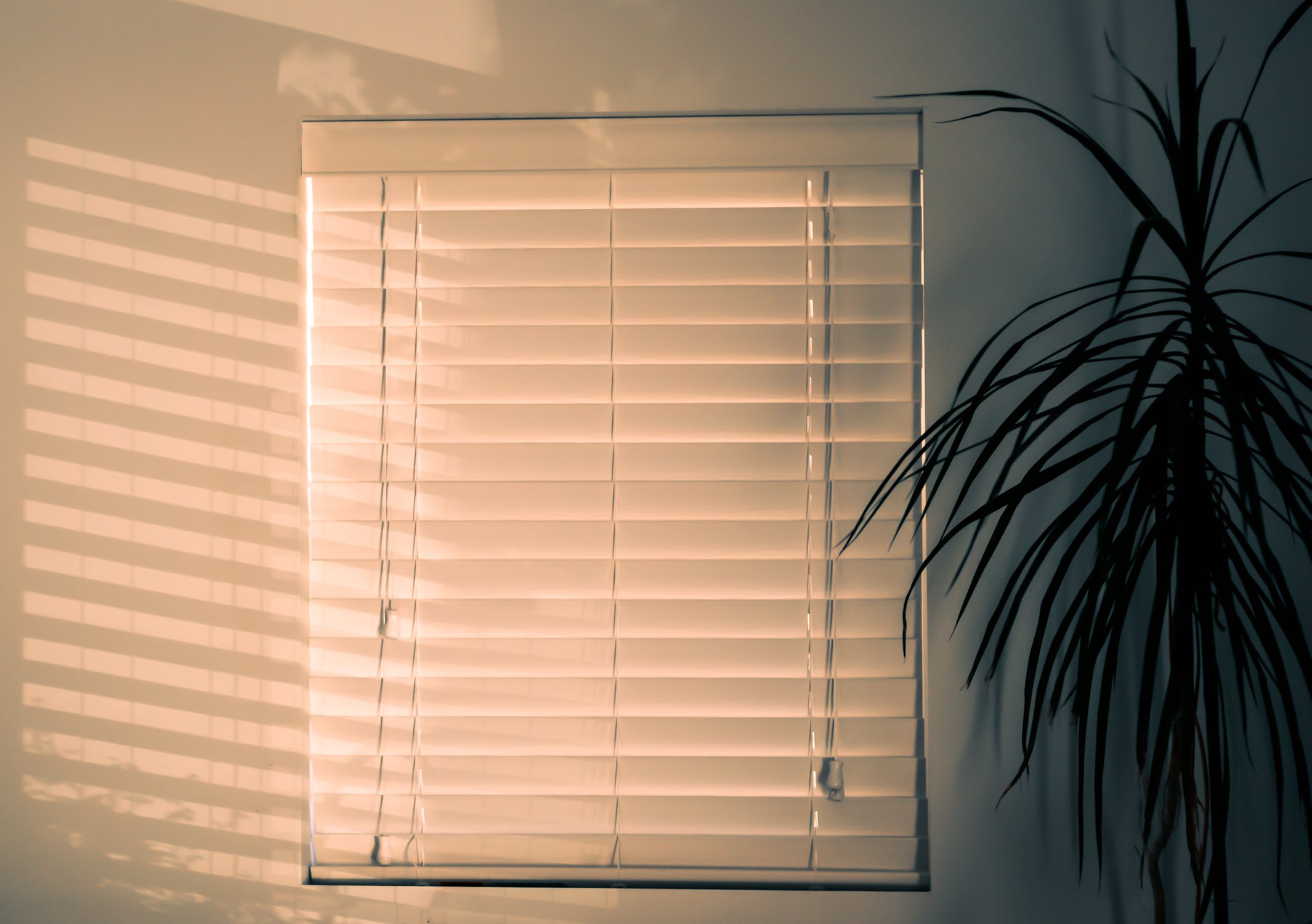Why choose automated and motorized window treatments for your home