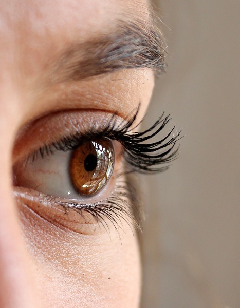 Basics Things You Need to Know Before Signing Up for an Eyelash Course