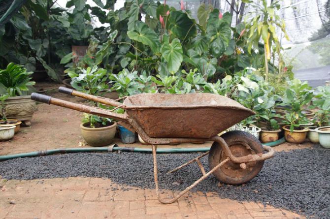 a wheelbarrow in the garden