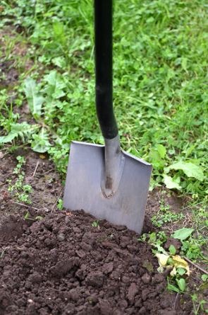 shovel for digging soil