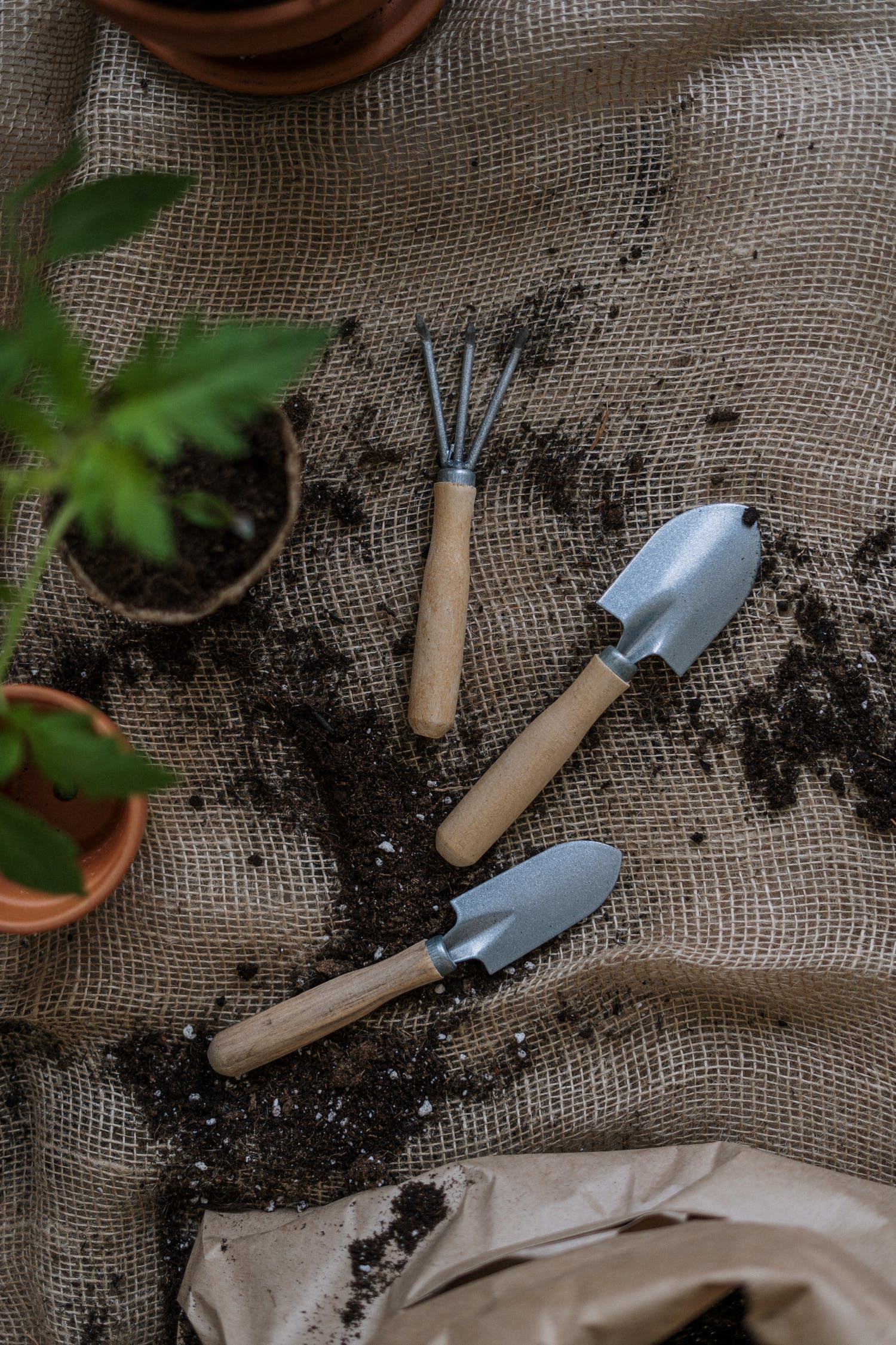 5 Gardening Essentials for Every Home
