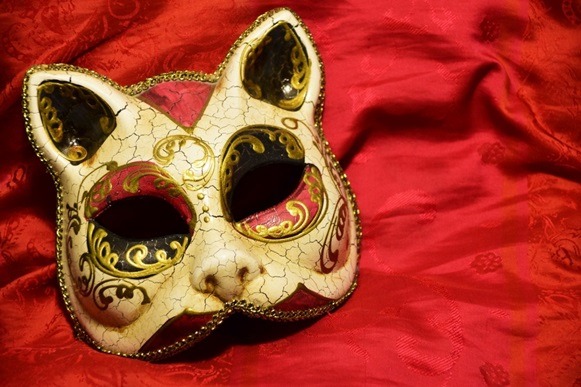 Japanese Cat Masks - How and When They Are Worn 2