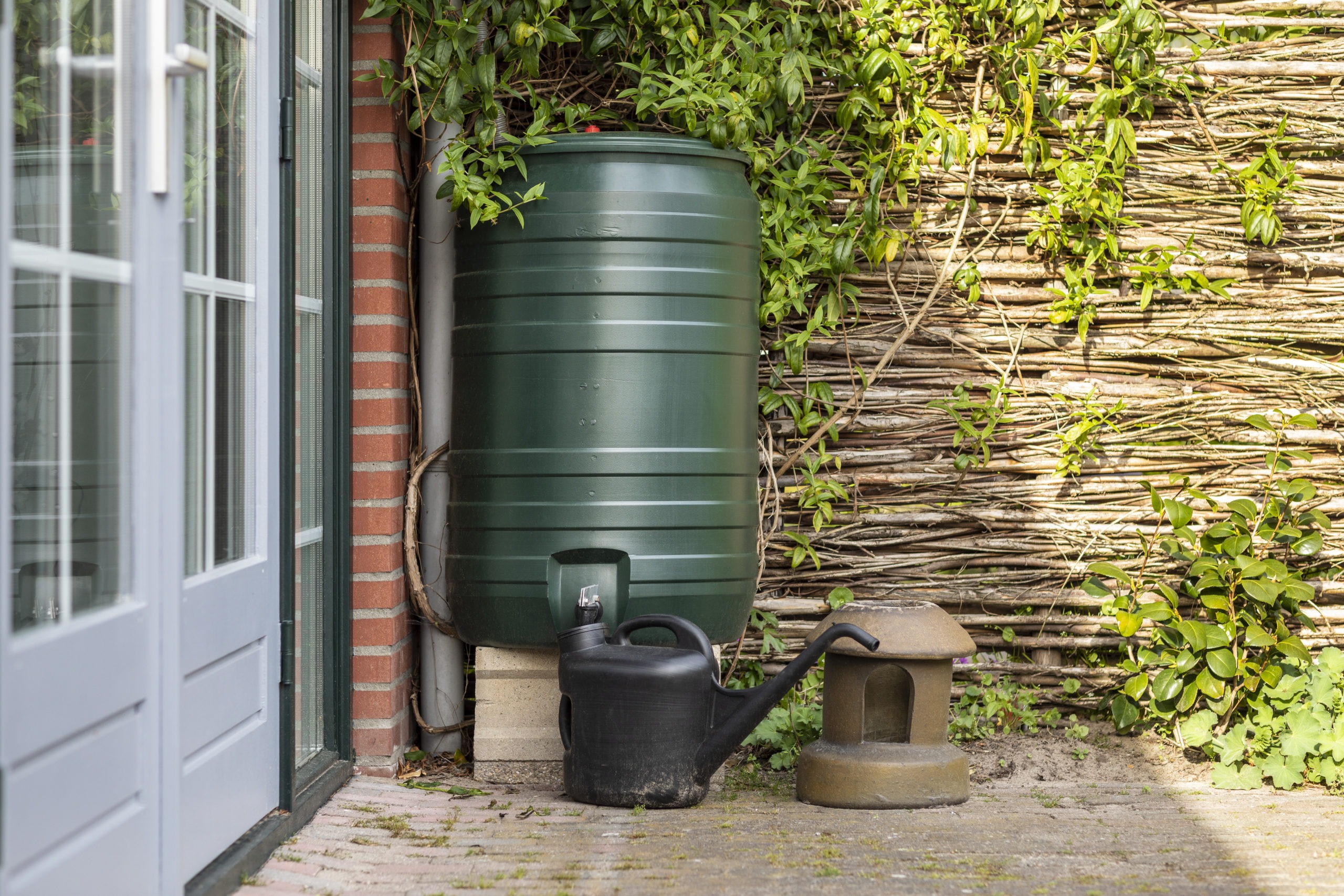 A green rain barrel to collect rainwater and reusing it to water