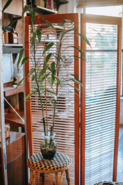 a folding screen behind a plant