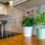 Top 10 Plants for Your Home Kitchen