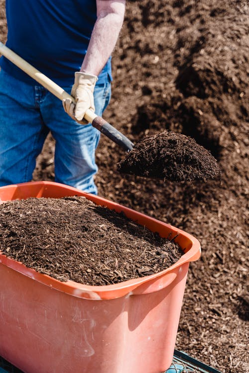 Importance Of Compost Accelerator In Your Garden