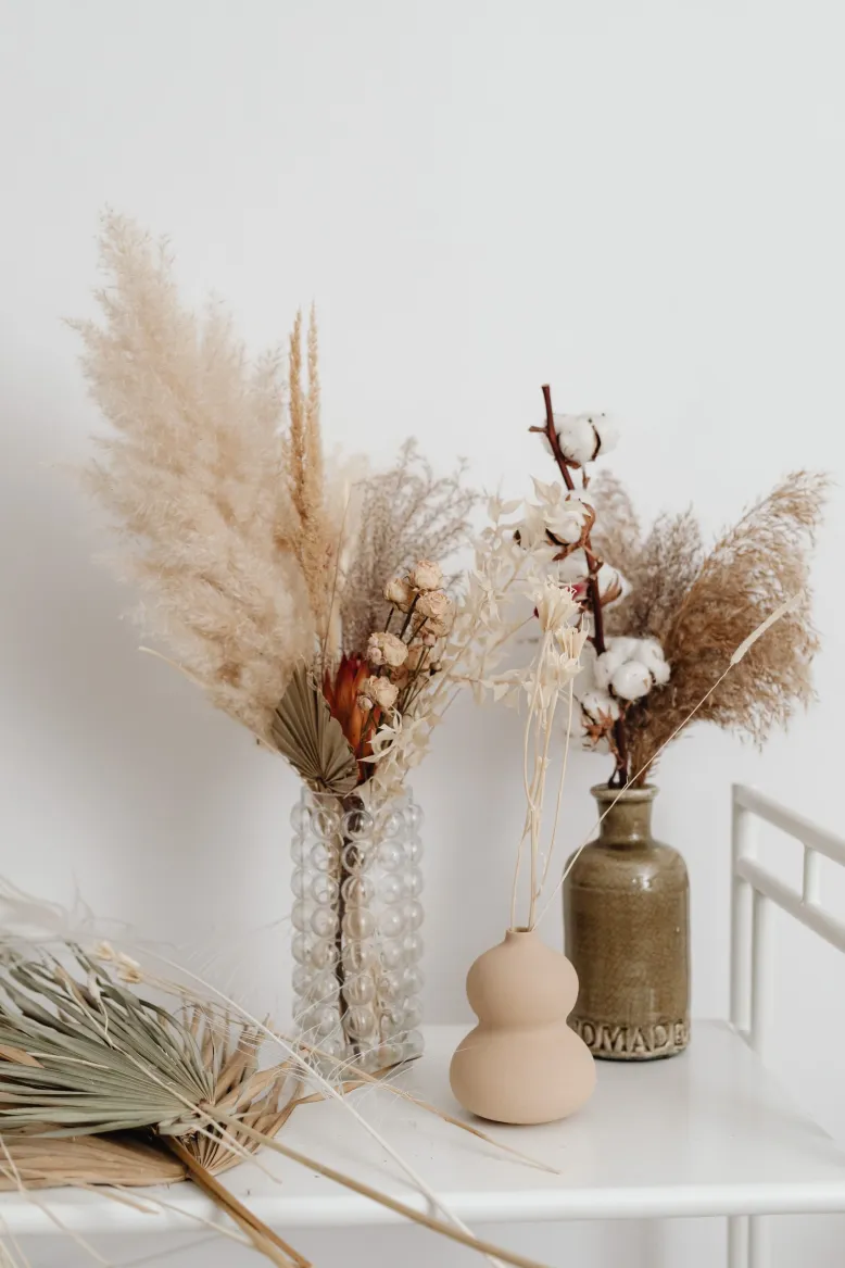 Pampas grass displayed on vases with other dried plants