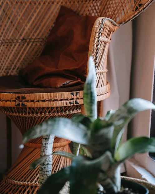a rattan chair with a brown pillow, and an indoor plant