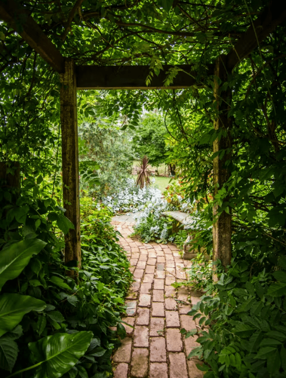 Garden, HD Green Wallpapers, Path