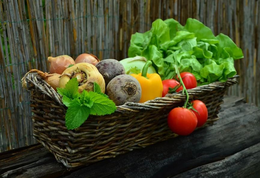 Benefits of Having a Kitchen Garden