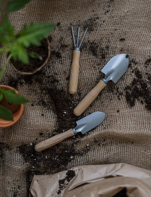 Importance of Having the Right Tools for Container Gardening