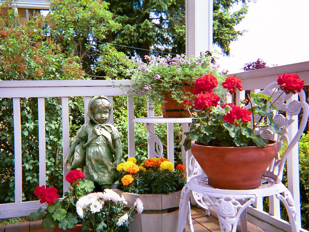 Tips About Container Gardening for Absolute Beginners
