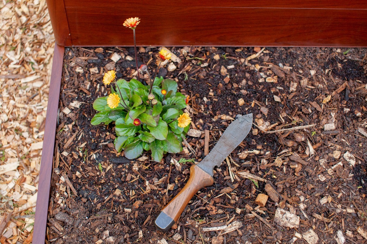 What kinds of knives are useful to have for container gardening