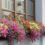Window Boxes – A Great Way to Add Curb Appeal to Your Home
