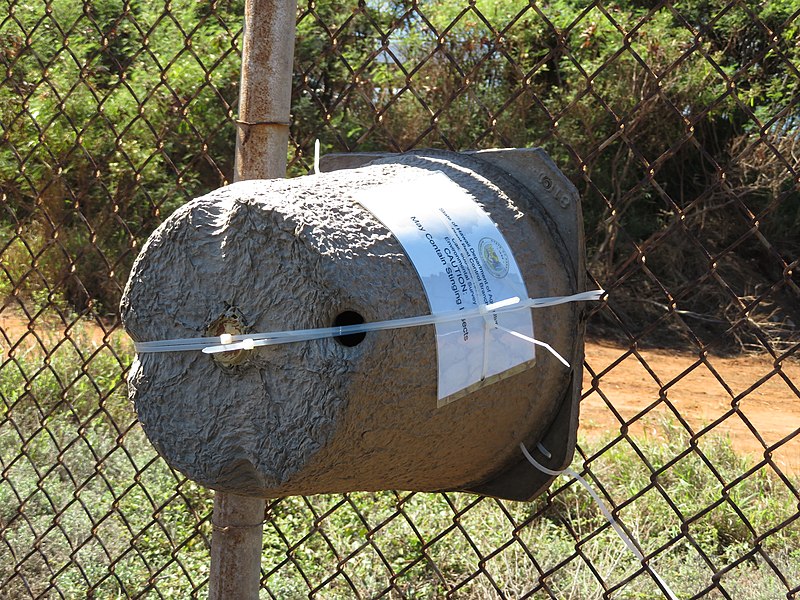 bee trap attached to a hog wire