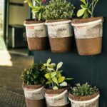 Benefits and Challenges of Container Gardening